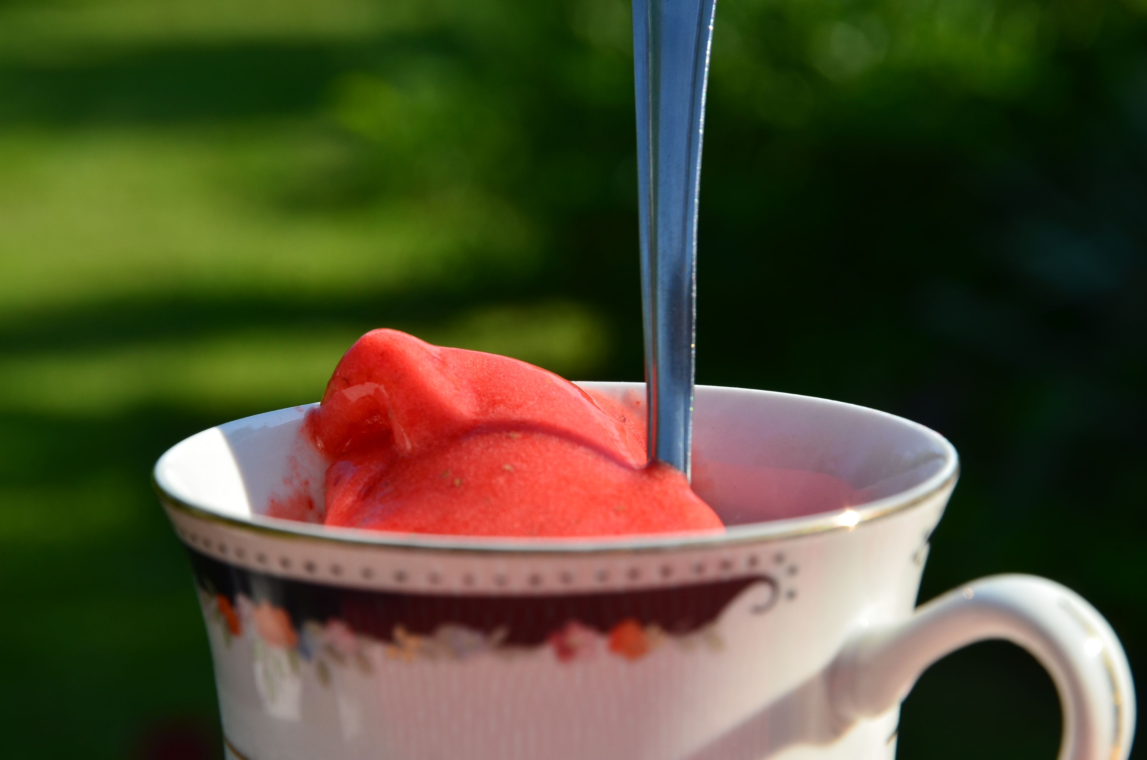 summer feeling: Holunder-Erdbeer-Eis | cookthebooth
