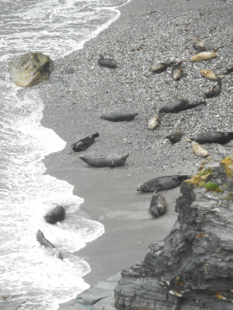 Godrevy04