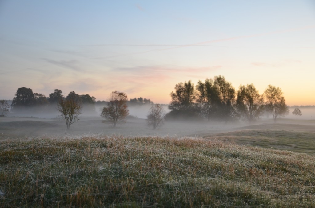 misty-morning-01