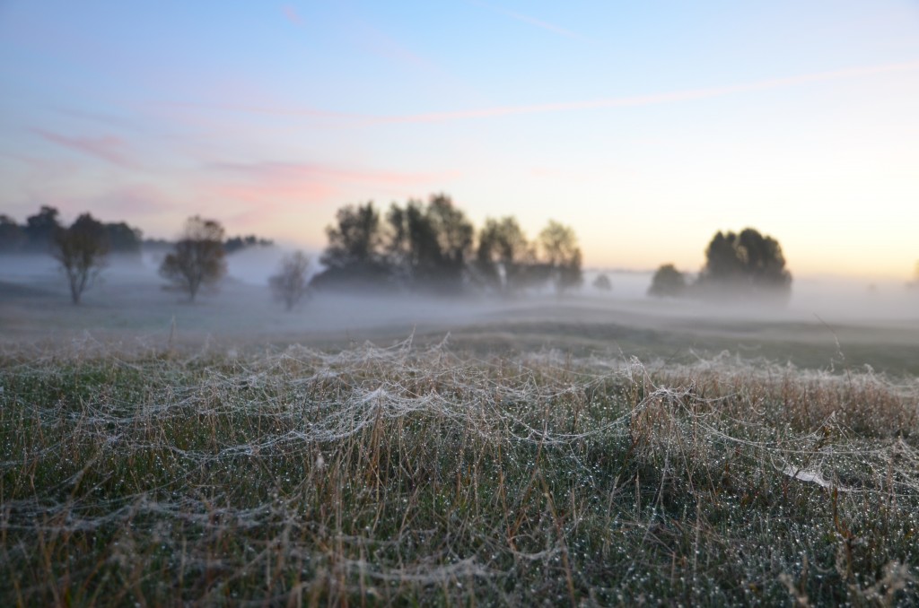 misty-morning-03